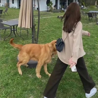石中怪